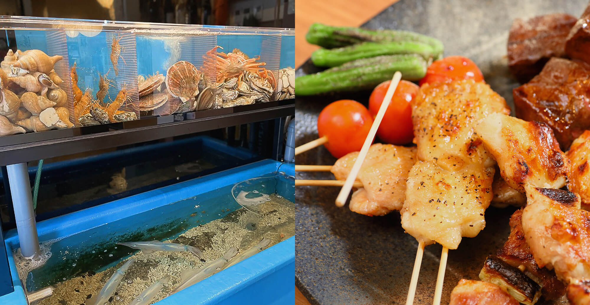 ここ美々で魚が笑った。函館近海で飛び跳ねる魚と、日本酒好きが熱狂する入手困難銘柄で世界三大夜景の中へと引きずりこむ・・・。